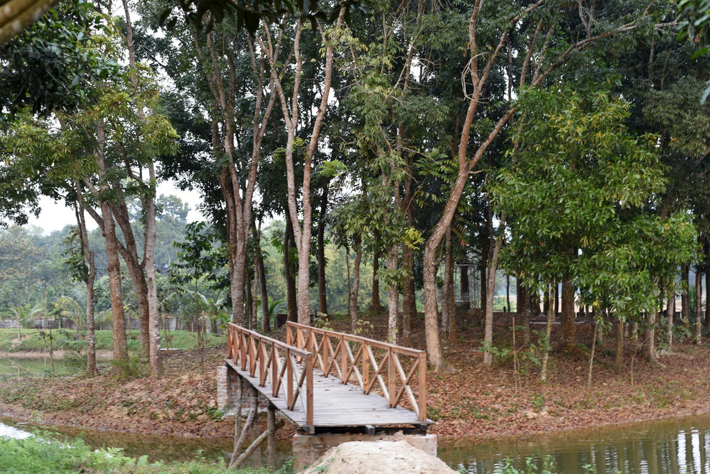 Eco Bliss Daylong Trip