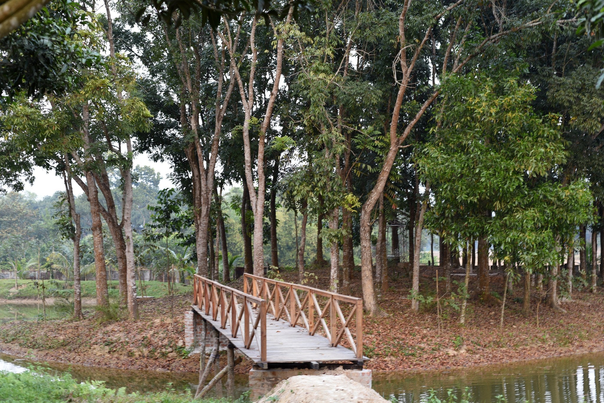 Eco Bliss Daylong Trip