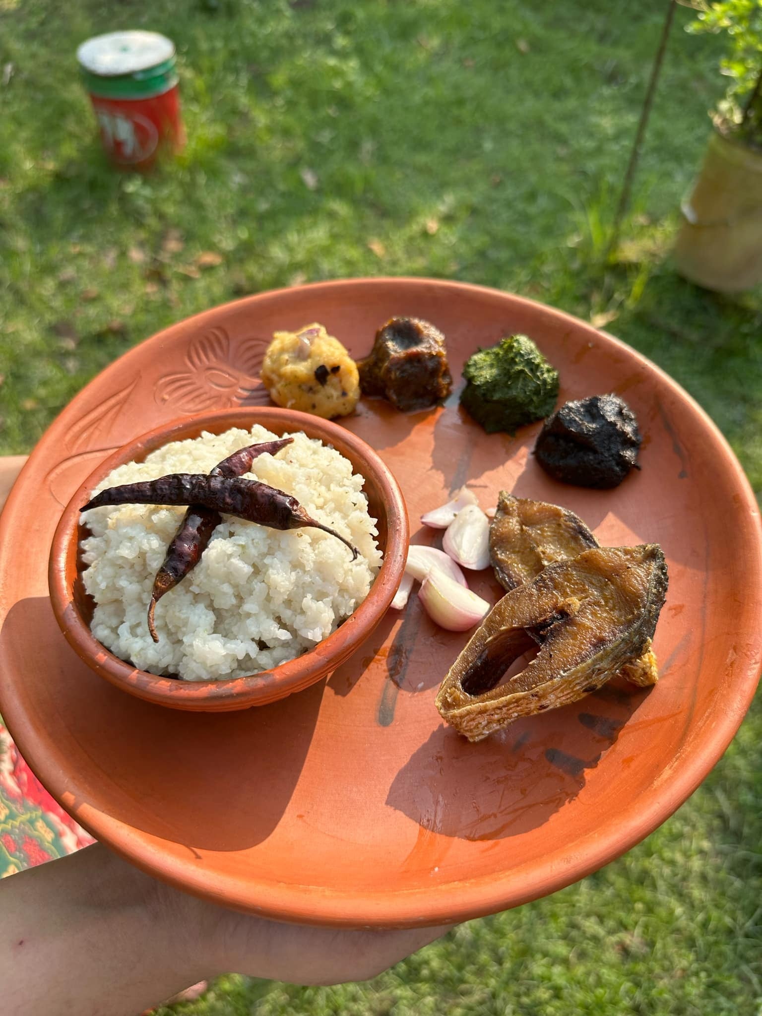 Nandini Daylong Agro escape